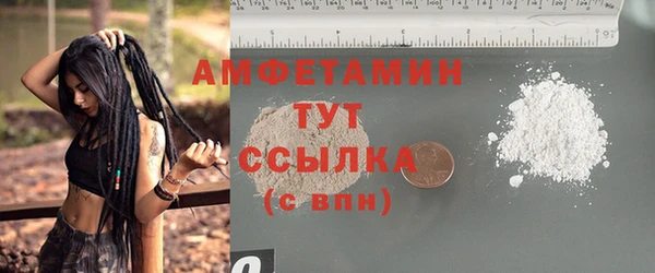 твердый Мегион