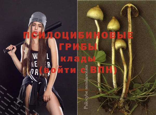 мяу мяу мука Михайловск