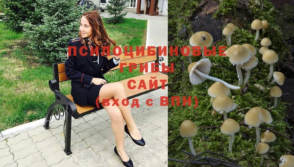 соль ск Михайловка