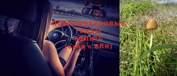 сатива Магас