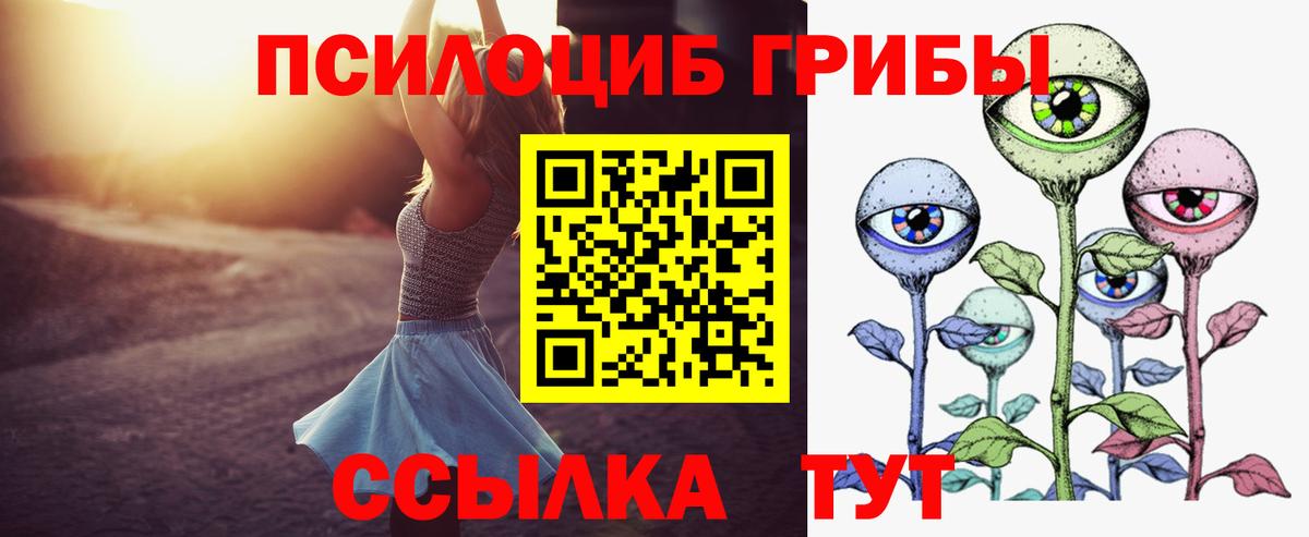 Людиново  Галлюциногенные грибы мухоморы  Вход с VPN 